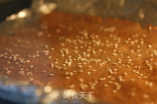 猪肉脯烤箱版做法6